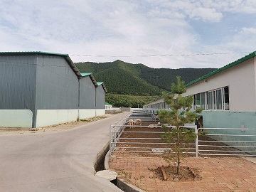 河北津墾奧牧業(yè)有限公司啟用精準飼喂系統(tǒng)(圖3)